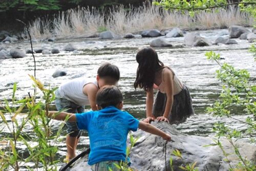 川遊びをする子供たち