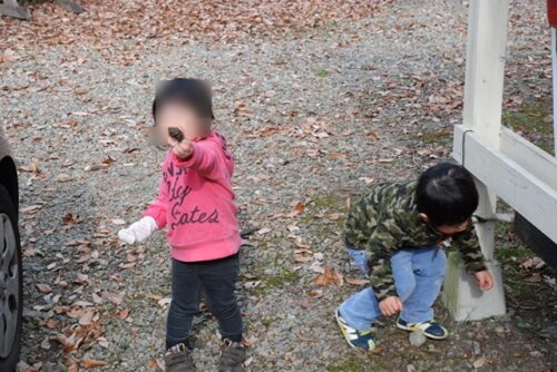 松ぼっくりを拾う子供