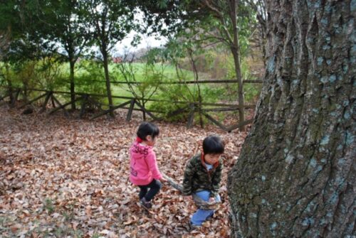 キャンプ場で遊ぶ幼児