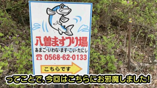 あんずチャンネル愛知県の八曽ますつり場