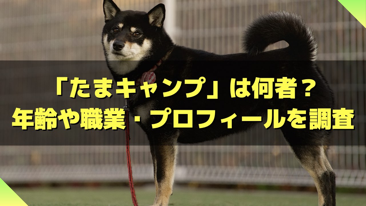 たまキャンプ
