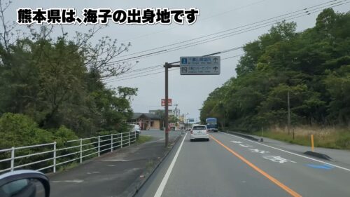 海子の出身地