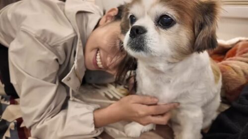 愛犬のちいちゃん