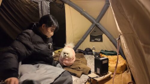 わんちゃんと僕のしちみとうゆ