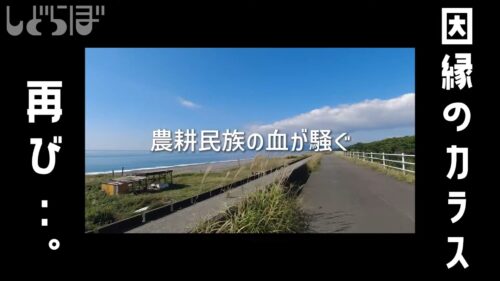 農耕民族発言をするしどらぼ
